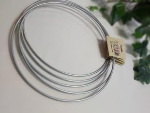 Metal Çember 24 Cm 5li Set Galvanizli Kasnak Halka Düş Kapanı endsetcem24