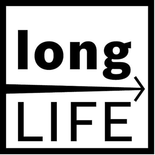 2608657936 tilki kuyruğu testere – S 936 Bef, 25 parça