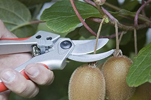 J441 makas Baumschere bir el Kurve 21 cm.