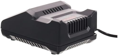 Professional Singlevolt-Li-Ion hızlı şarj cihazı GAL 12V-40 (akülü cihazların 12 V lityum iyon aküler için aksesuar)