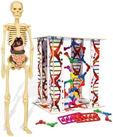 - 64297 - İlk Keşiflerim - İnsan Anatomisi