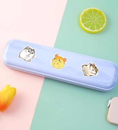 25'li Su Geçirmez Opak Seri: 16