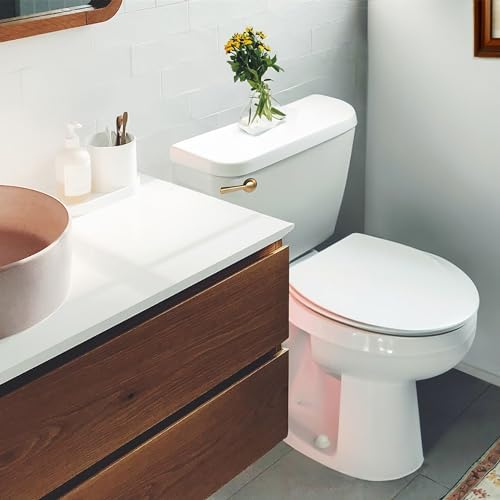 6094BP STRONGARM Tank Kolu, Evrensel Ön Açılı Yan Sol ve Sağ Montaj Tuvaletlere Uyar, Fırçalanmış Altın