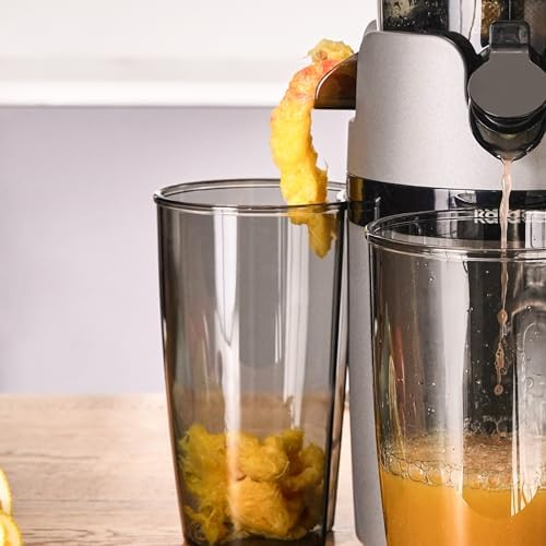 SLOW JUICER KATI MEYVE SIKACAĞI