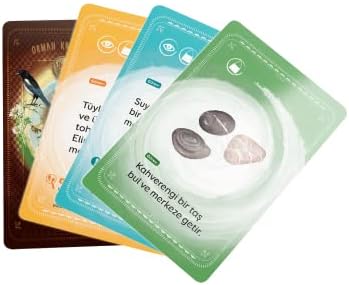 Tabiatın İzinde Kart Oyunu: Araştırma Oyunu