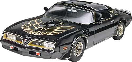 14027 77 Pontiac Firebird, Renkli
