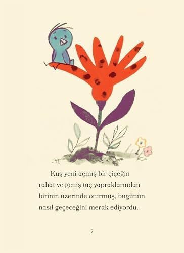 Ayı ile Kuş - Piknik ve Diğer Öyküler