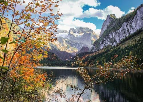 , 1000p Puzzle Avusturya, Yetişkin Puzzle