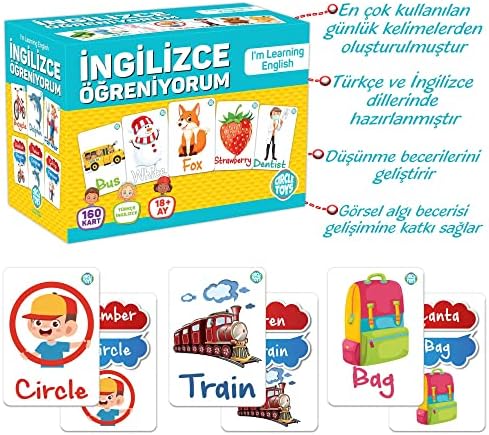 CIRCLE TOYS CRCL004 İngilizce Öğreniyorum, Çok Renkli