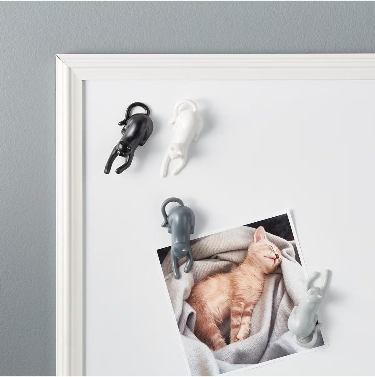 4'lü Sevimli Kedi Magnet Seti | Buzdolabı Magneti Magnetcats