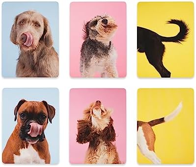 Teach Yourself Dog: A memory game