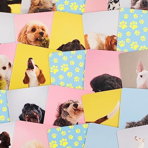 Alternative view of Teach Yourself Dog: A memory game