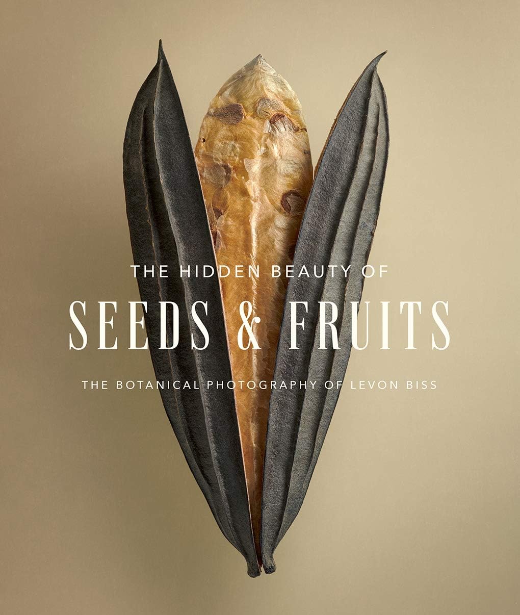 The Hidden Beauty of Seeds & Fruits: The Photography of Levon Biss