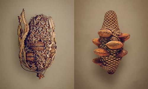 Alternative view of The Hidden Beauty of Seeds & Fruits: The Photography of Levon Biss