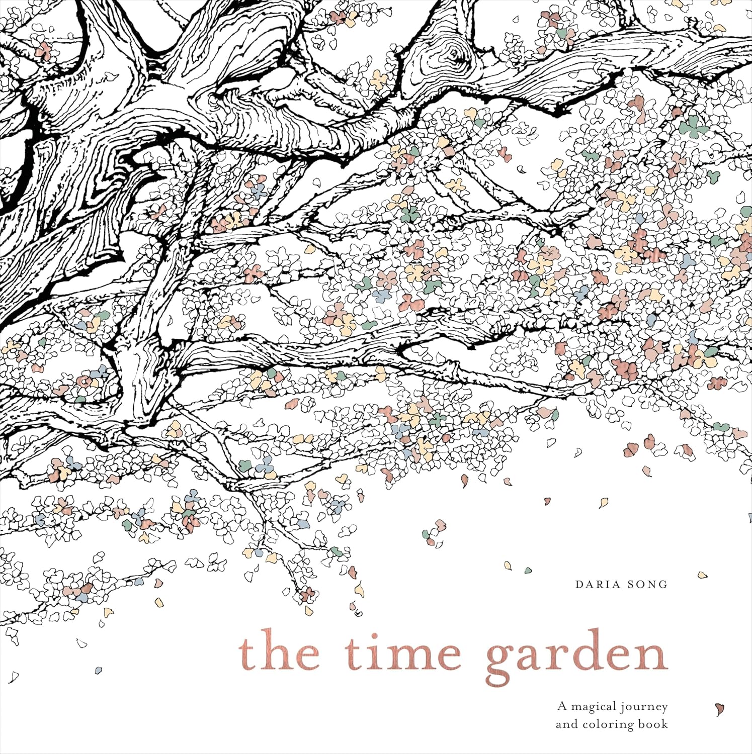 Alternative view of The Time: A Magical Journey and Coloring Book