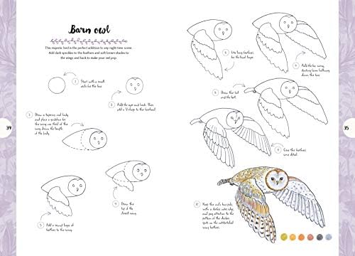 10:: Draw 60 Plants & Animals in 10 Easy Steps