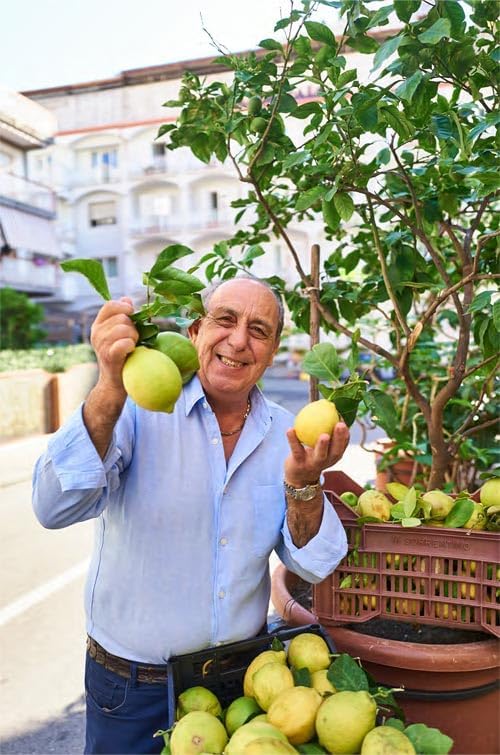 Gennaro's Limoni: Vibrant Italian Recipes Celebrating the Lemon