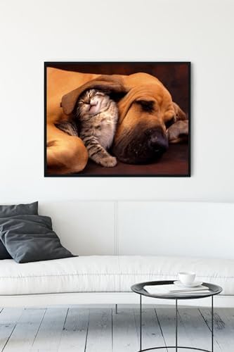 Alternative view of (pster11585) Kedi Ve Köpek Eğlenceli Mizahi Çerçeveli Tablo (50x70cm)