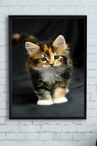 Alternative view of (pster11543) Kedi Hayvan Çerçeveli Tablo 2 (30 X 40cm)