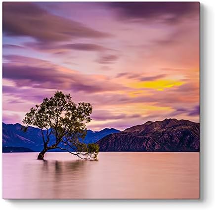 Wanaka Ağacı Tablosu 40 x 40