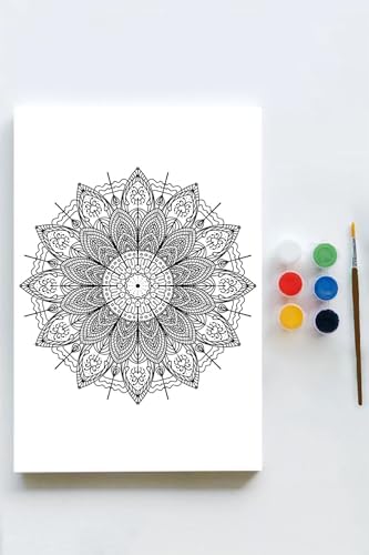 (pster21575) Mandala Tuval Kanvas Tablo Boyama Hobi Seti 13 (40x60cm)