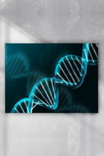 (pster3922) Dna Bilimsel Poster (70x100cm)