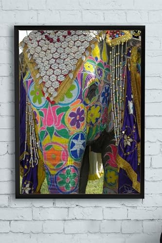 (pster11238) Hindistan Fil Manzara Çerçeveli Tablo (50x70cm)
