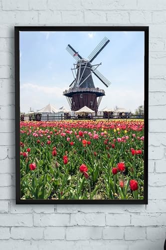 (pster11254) Hollanda Manzara Çerçeveli Tablo 2 (30 X 40cm)