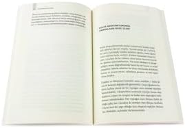 Kulak Akapunkturu
