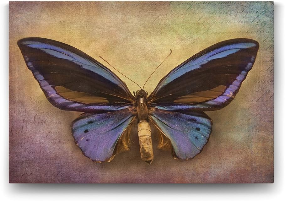 Modern Kelebek Tablo - 100x70cm - Görsel 2