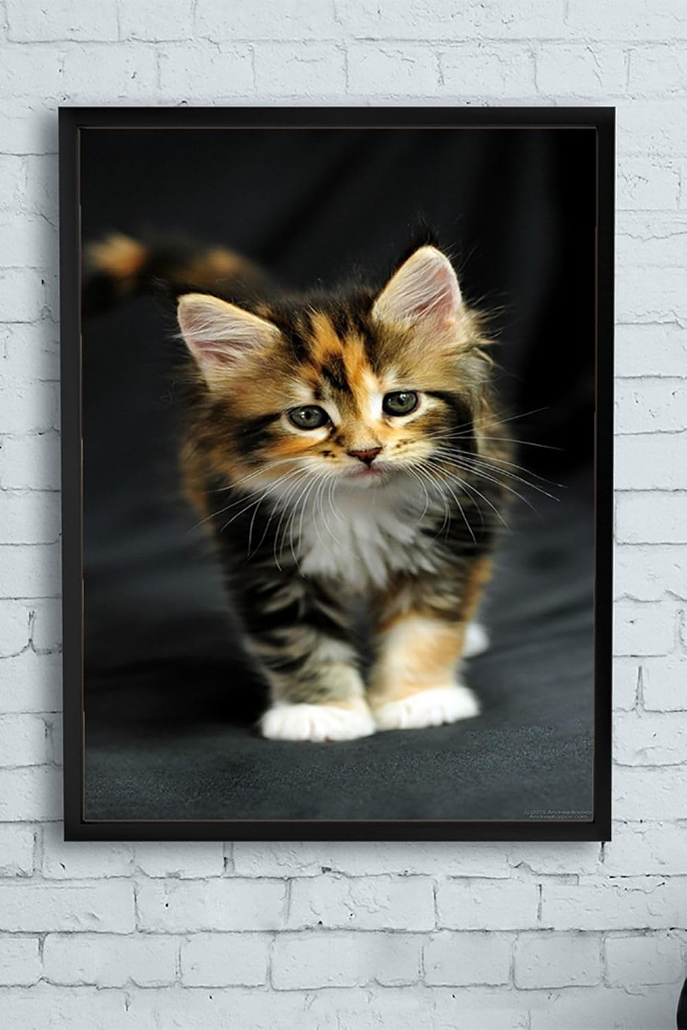 (pster11543) Kedi Hayvan Çerçeveli Tablo 2 (30 X 40cm)