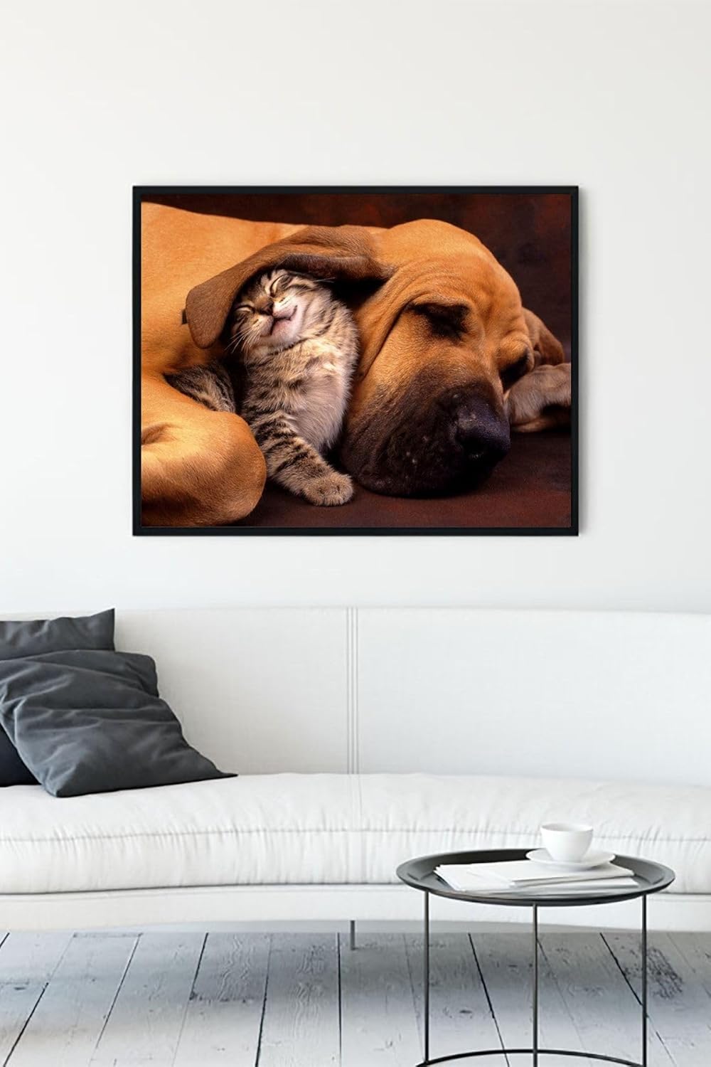 (pster11585) Kedi Ve Köpek Eğlenceli Mizahi Çerçeveli Tablo (50x70cm)