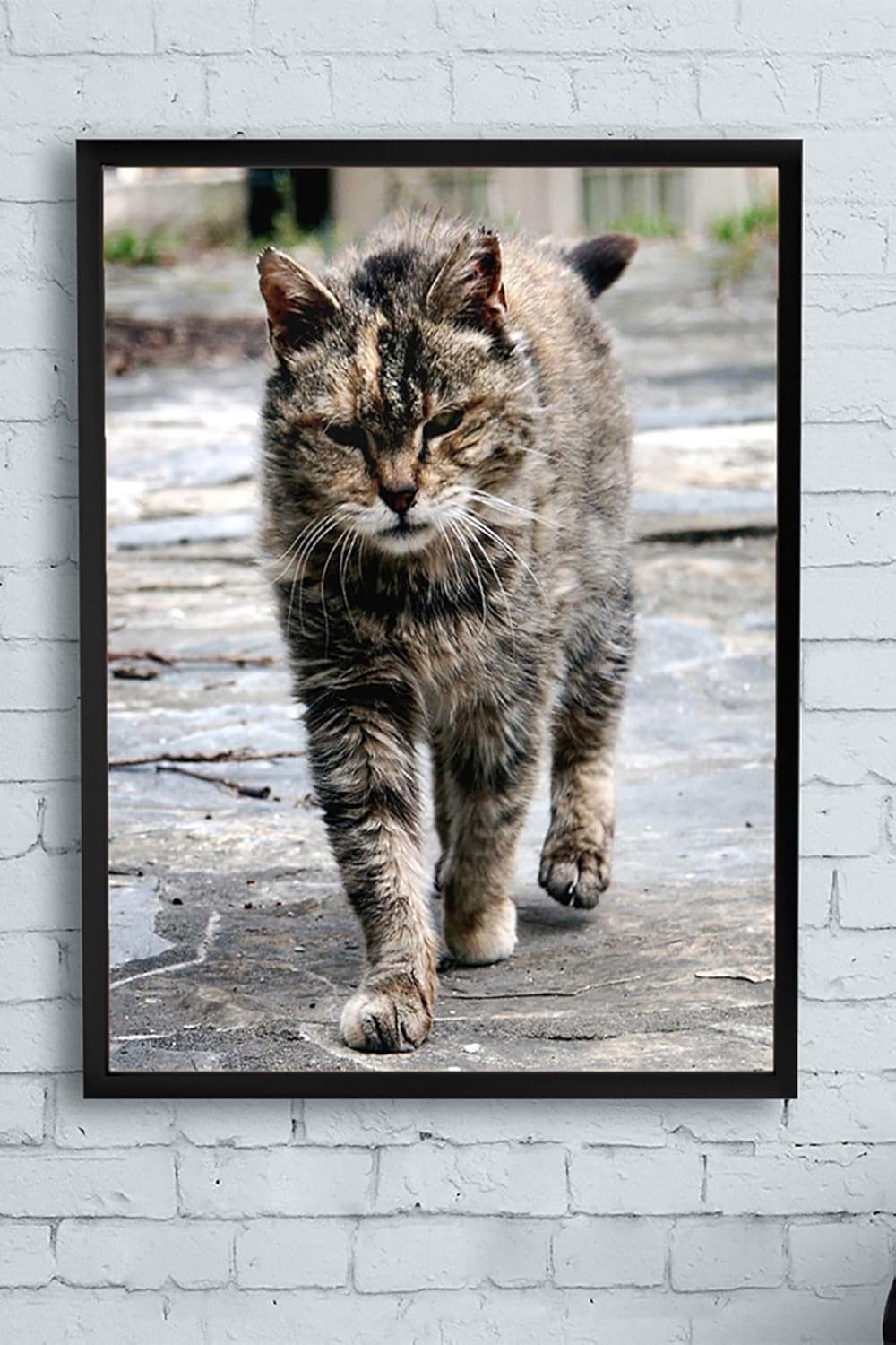 Alternative view of (pster11548) Kedi Hayvan Çerçeveli Tablo 3 (30 X 40cm)