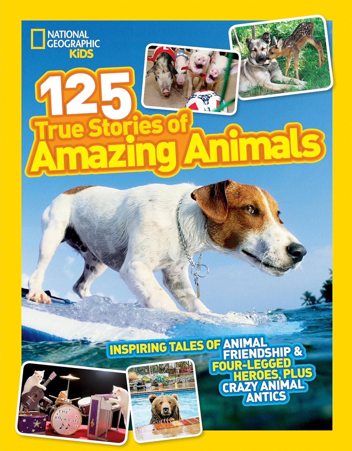 Geographic Kids 125 Stories of Amazing Animals: Inspiring of Friendship & Four-Legged Heroes, Plus Crazy Antics