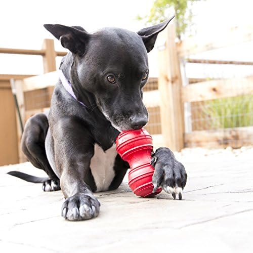 Alternative view of Kong Dental Köpekler İçin Çift Ekstra Çiğneme Oyuncak - Kırmızı