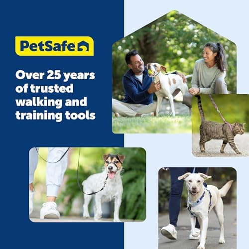 Petsafe KeepSafe Kırılabilir Yaka, Köpeğiniz veya Yavru Köpeğiniz için Yaka Kazalarını Önleyin, Güvenliği Artırın, Tasma Kullanımı ile Uyumlu, Ayarlanabilir Boyutlar