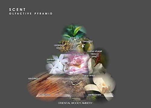 Costume Scent EDP Natural Spray 100 ml Kadın Parfüm 1 Paket (1 x 100 ml)