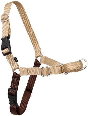 PetSafe Easy Walk köpek koşum takımı