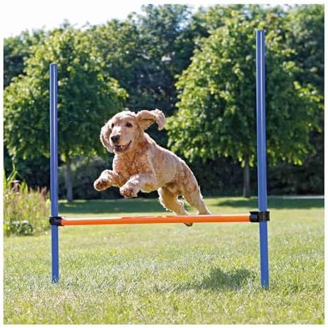 Köpek Agility Eğitim Manisi, 123×115×Ø3 Cm