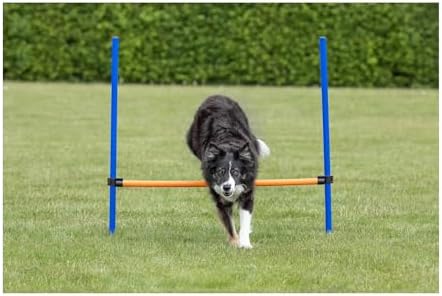 Alternative view of Köpek Agility Eğitim Manisi, 123×115×Ø3 Cm