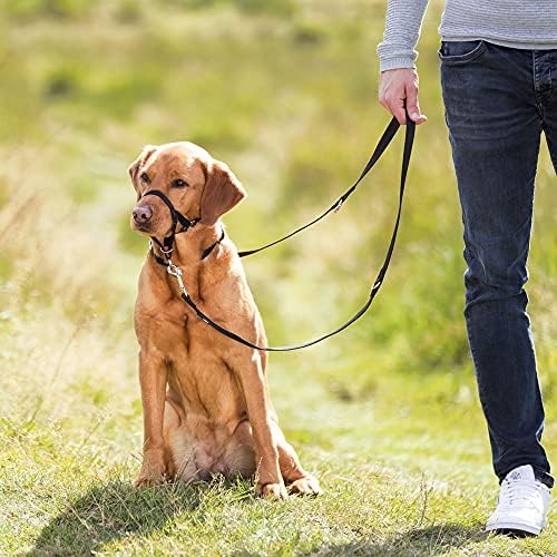 Uzman Köpek Eğitim Tasması L-Xl 37Cm