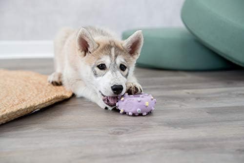 Yavru Köpek Mini Dambıl Lateks 10 cm