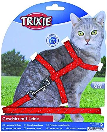 Yavru Kedi Boyun Tasması
