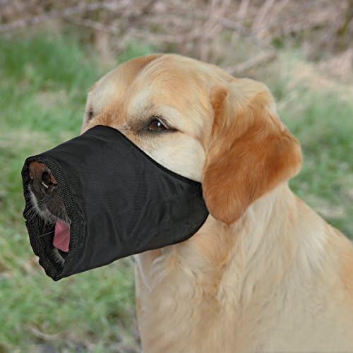 Köpek Ağızlığı 12 cm XXS Siyah