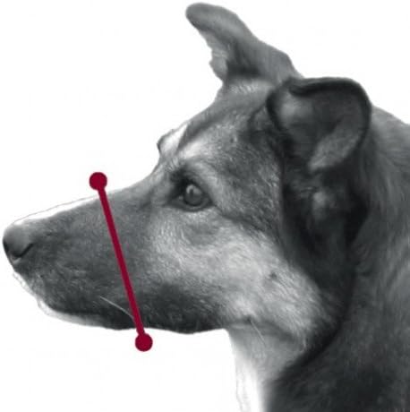 Alternative view of Köpek Ağızlığı 12 cm XXS Siyah