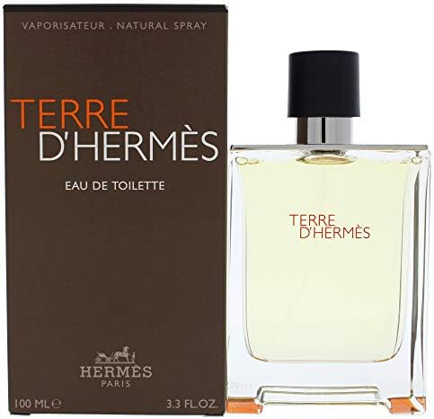 Terre D' EDT 100ml Erkek Parfümü