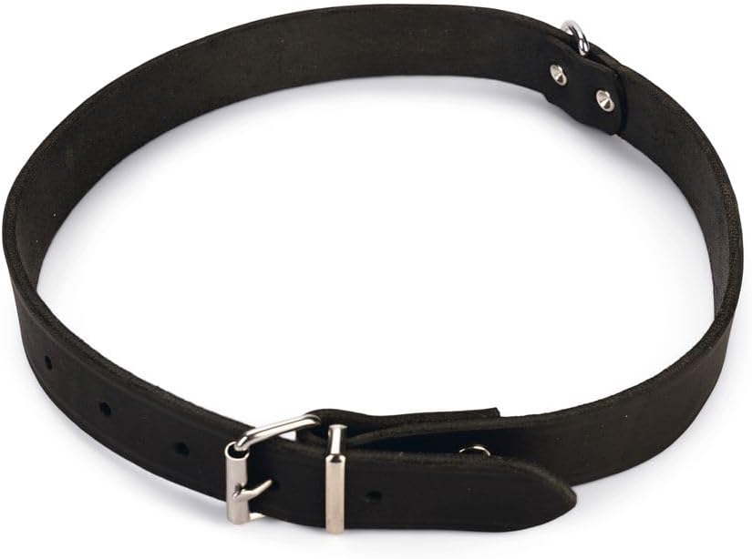 Deri Evcil Hayvan Boyun Tasması, 27 cm-10 mm, Siyah