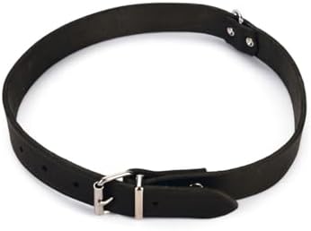 Alternative view of Deri Evcil Hayvan Boyun Tasması, 27 cm-10 mm, Siyah