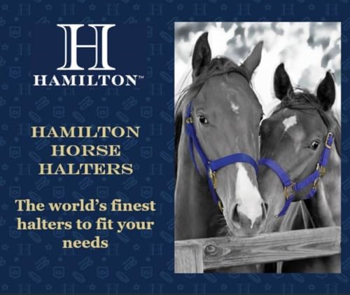 Hamilton 3/4-İnç Ayarlanabilir Naylon At Yuları, 200 ila 300 Lbs Sütten Kesme, Canlı Pembe