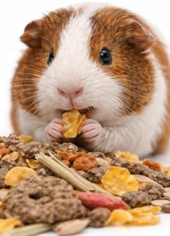 Versele Laga Muesli Guinea Pig Yemi 1 kg